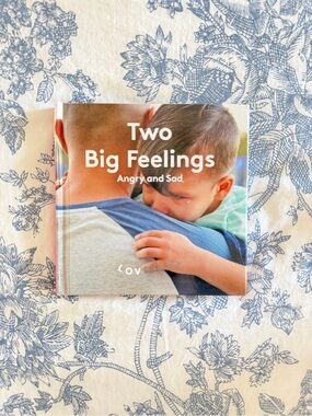 Two Big Feelings Lovevery book